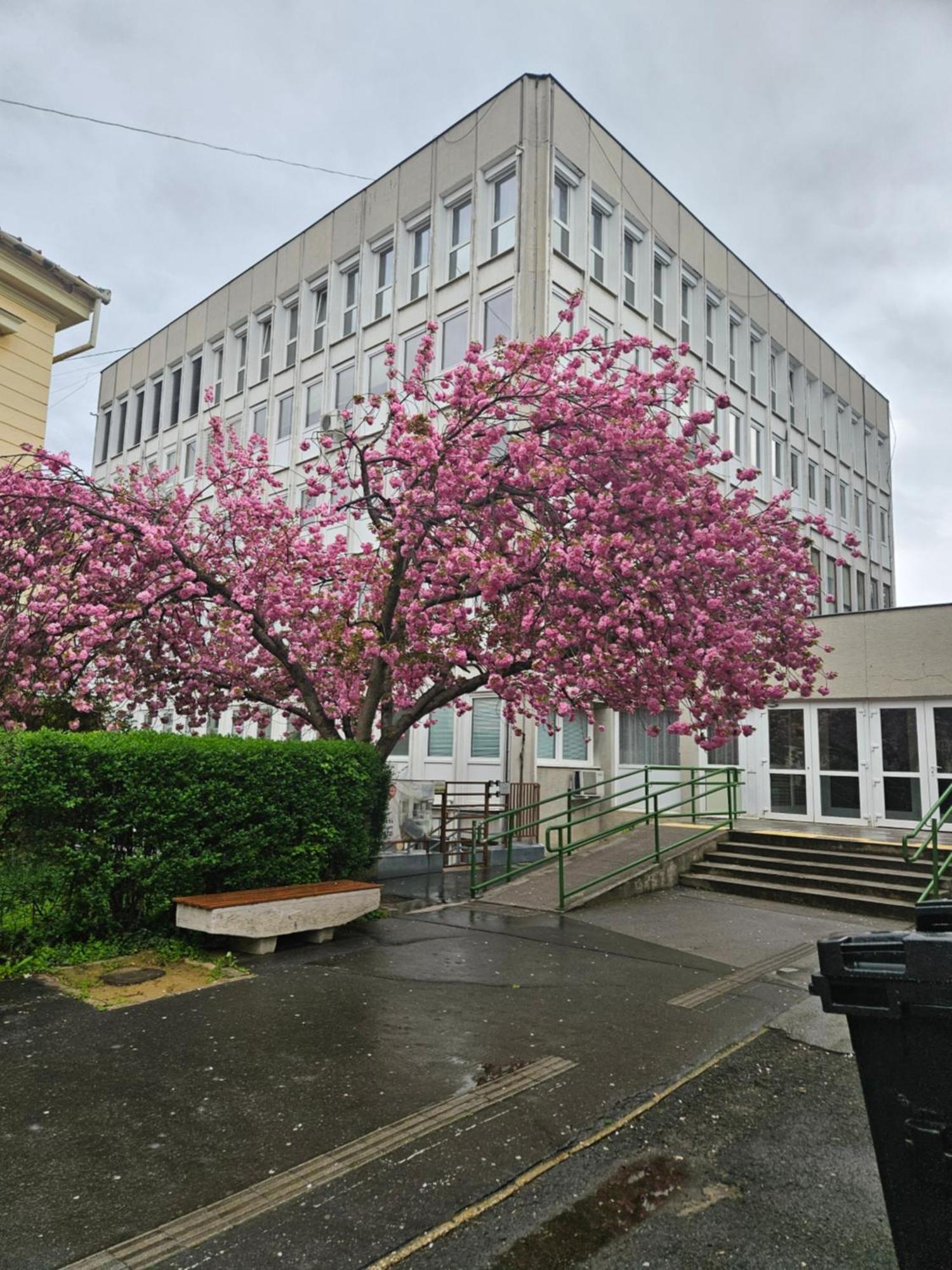 Hellowine Apartman Eger Exterior photo